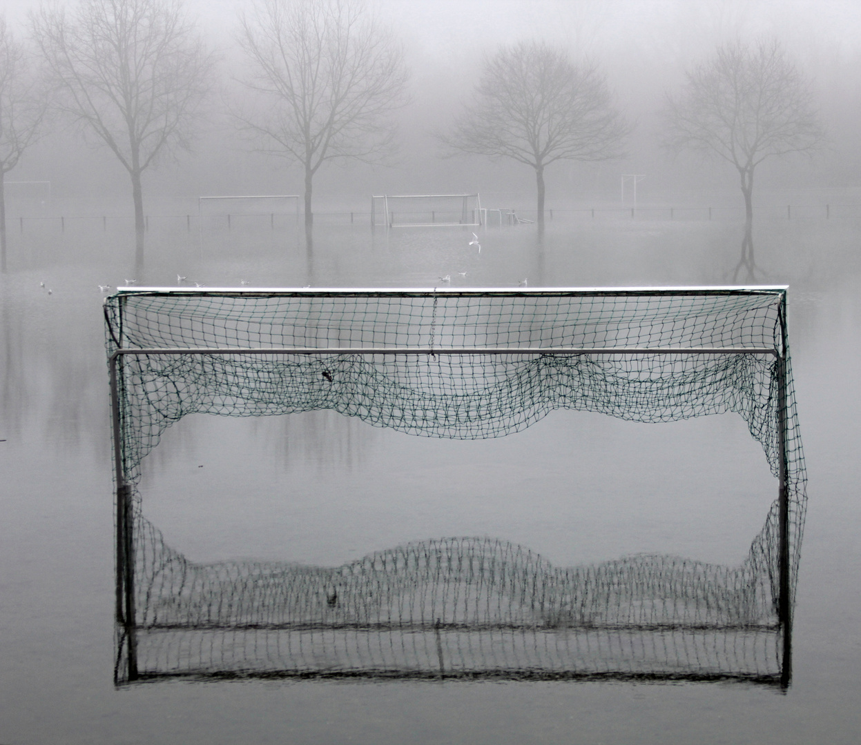 Hochwasser + Nebel -11- 