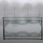 Hochwasser + Nebel -11- 