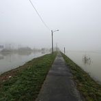 Hochwasser + Nebel -2-