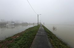 Hochwasser + Nebel -2-