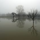 Hochwasser + Nebel -3-