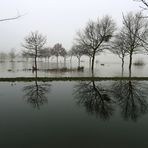 Hochwasser + Nebel -4-