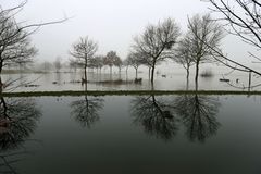 Hochwasser + Nebel -4-