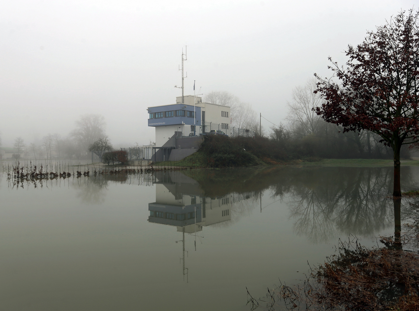 Hochwasser + Nebel -5- 