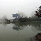 Hochwasser + Nebel -5- 