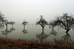 Hochwasser + Nebel -6- 