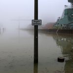 Hochwasser + Nebel -8-