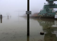 Hochwasser + Nebel -8-
