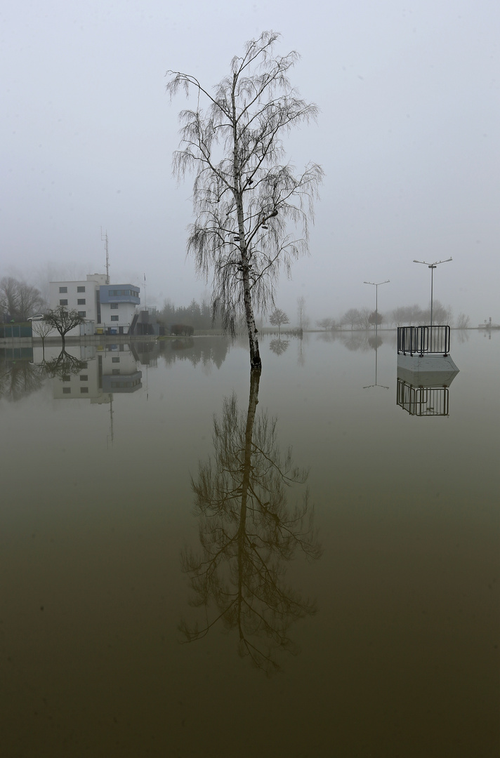 Hochwasser + Nebel -Spiegeltag- 