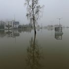 Hochwasser + Nebel -Spiegeltag- 