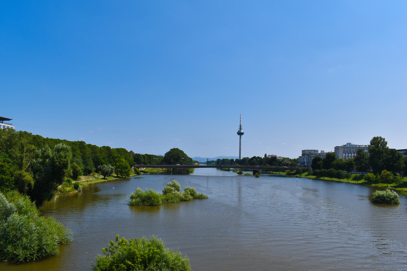 Hochwasser Neckar in Mannheim