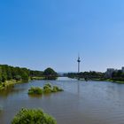 Hochwasser Neckar in Mannheim