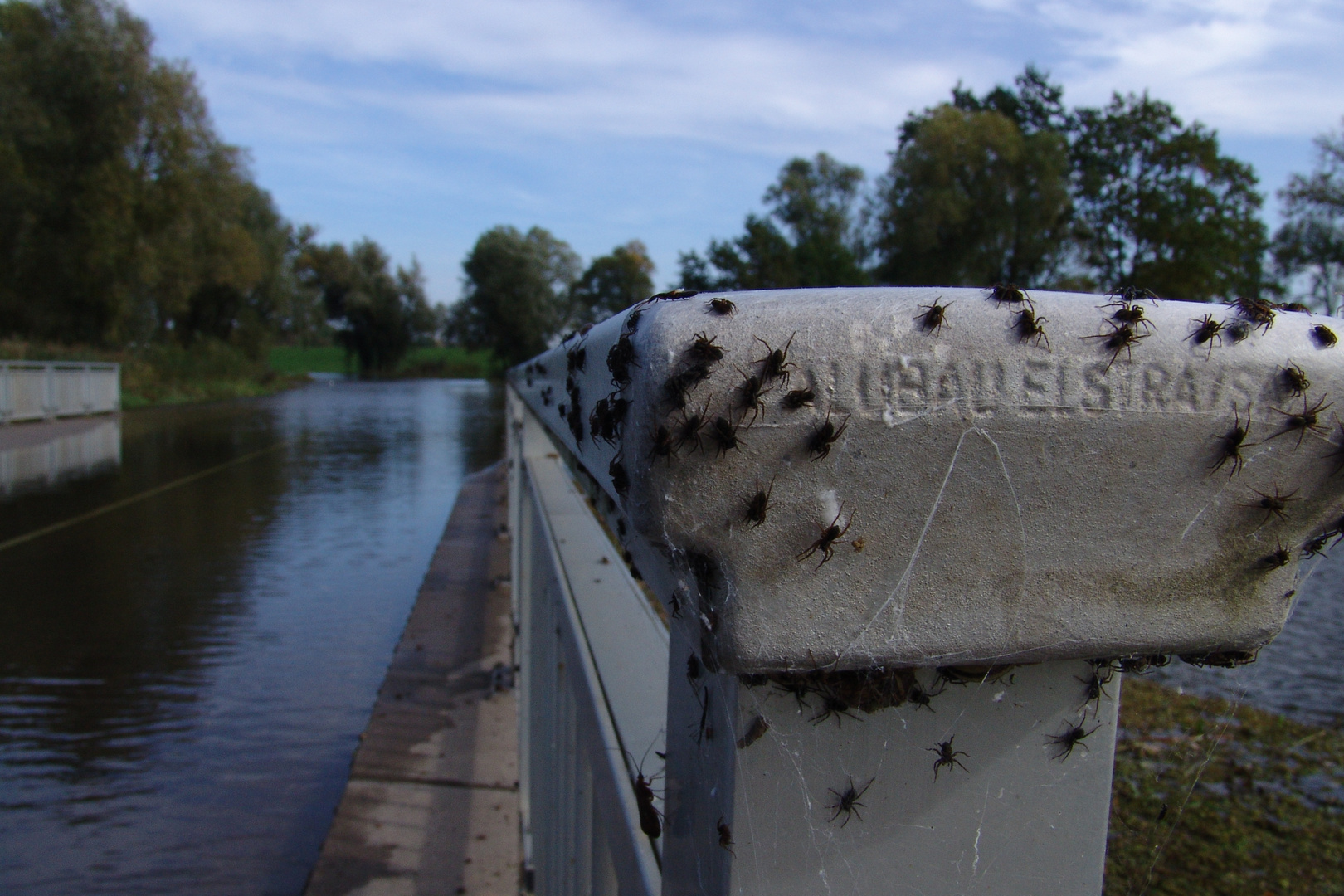 Hochwasser - Panik