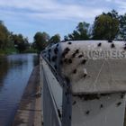 Hochwasser - Panik