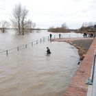 Hochwasser Rees 003