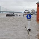 Hochwasser Rees am Rhein 01