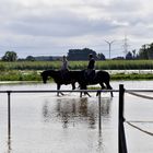 Hochwasser-Reiten