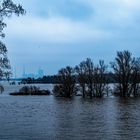 Hochwasser Rhein 2021 