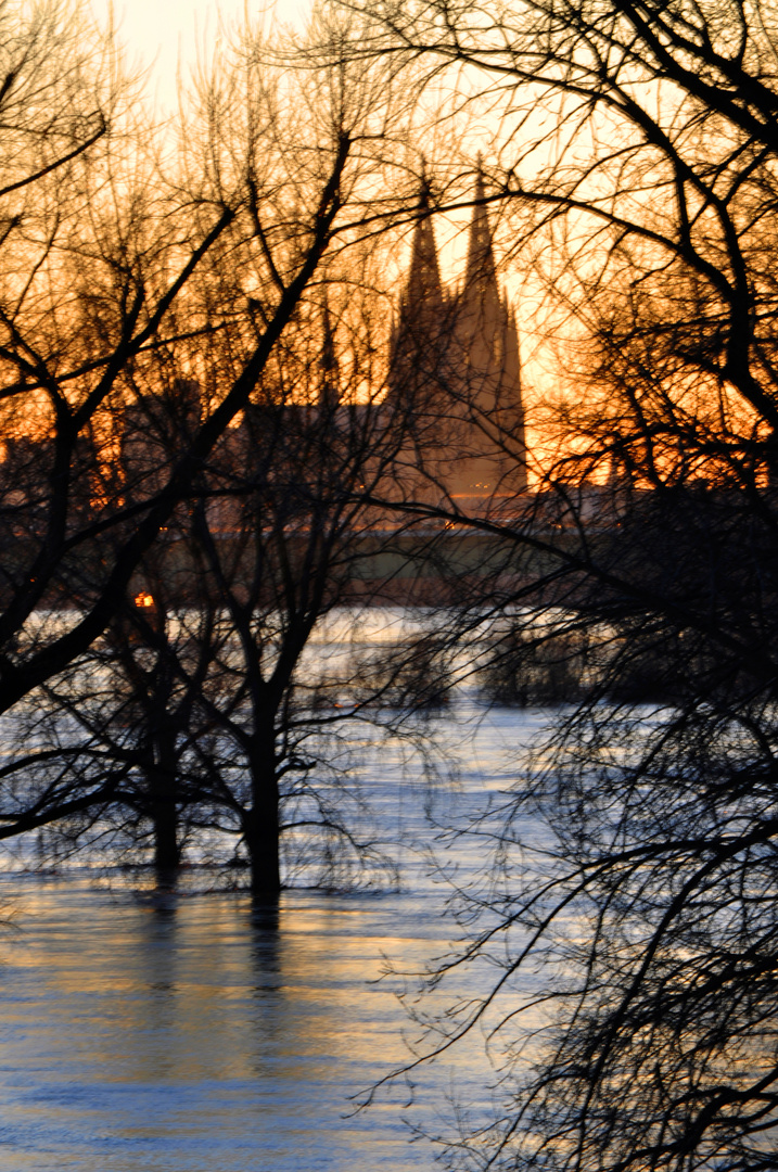 Hochwasser Rhein, Mülheim