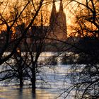 Hochwasser Rhein, Mülheim