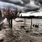 Hochwasser Rheinpromenade Bonn Beuel