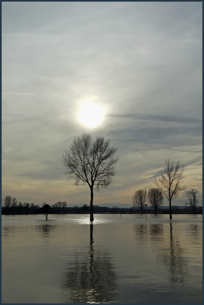 Hochwasser Romantik