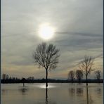 Hochwasser Romantik