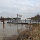 Hochwasser Rüsselsheim (06.01.2024 kurz nach 12:00 Uhr)