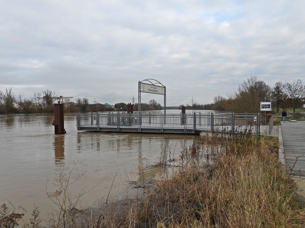 Hochwasser Rüsselsheim (06.01.2024 kurz nach 12:00 Uhr)