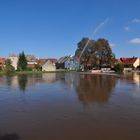 Hochwasser - Schwarze Elster (1)