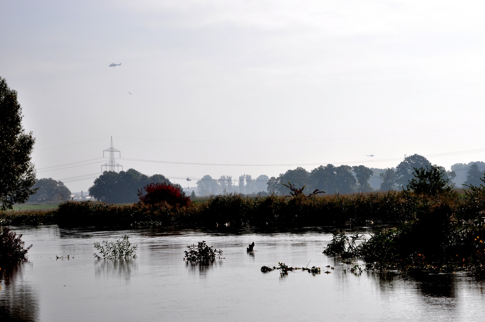 Hochwasser - Schwarze Elster (10)