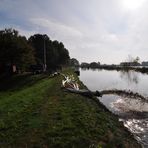 Hochwasser - Schwarze Elster (3)