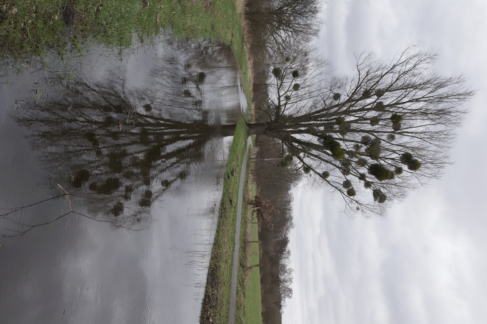 hochwasser spiegel