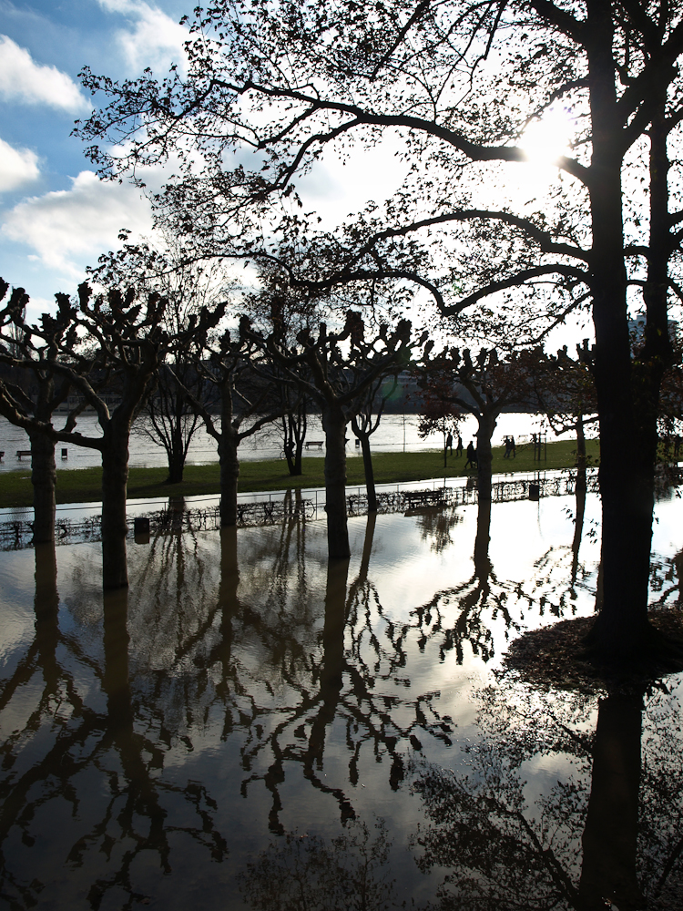 Hochwasser-Spiegelungen