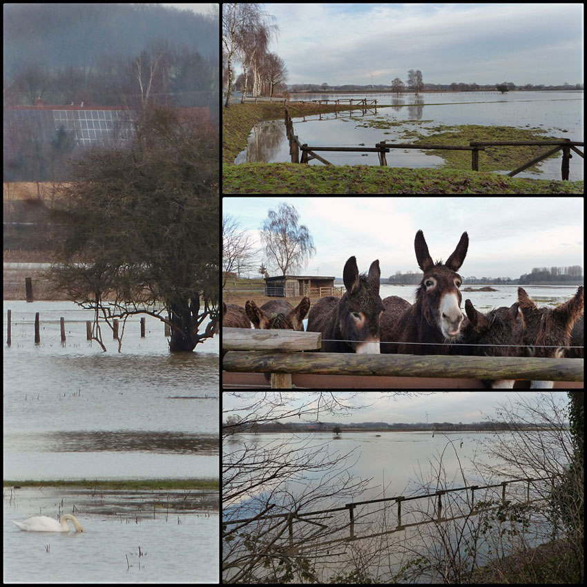 Hochwasser Steveraue Olfen