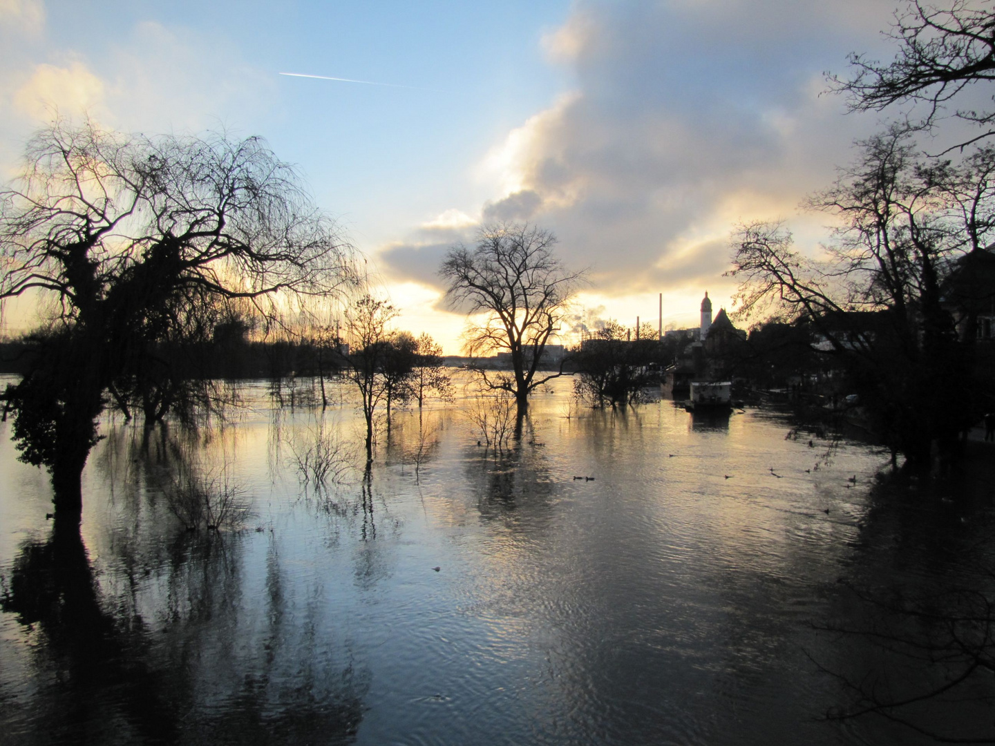 "Hochwasser-Stimmung in Höchst..."