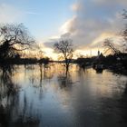 "Hochwasser-Stimmung in Höchst..."