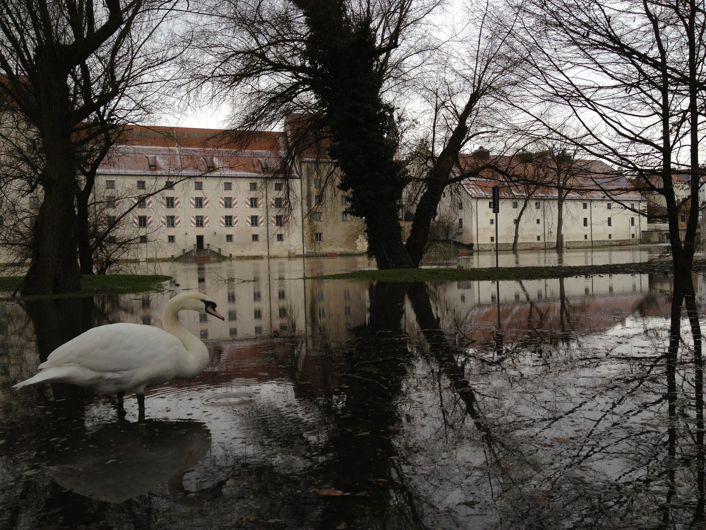 Hochwasser Straubing Februar 2013