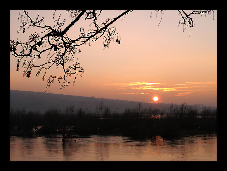 Hochwasser und Abendsonne 2