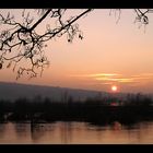 Hochwasser und Abendsonne 2