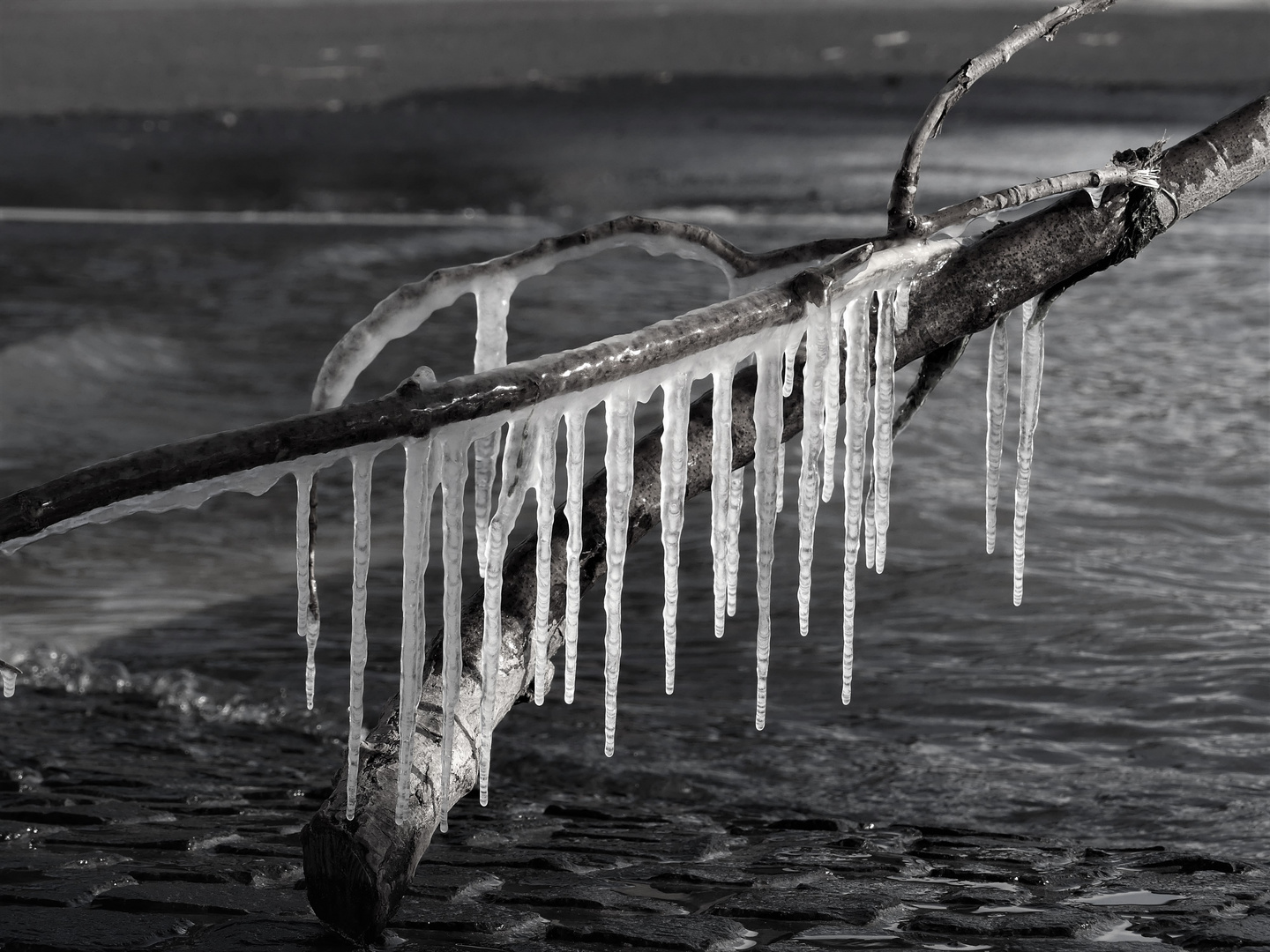 Hochwasser und Frost - Ergebnis