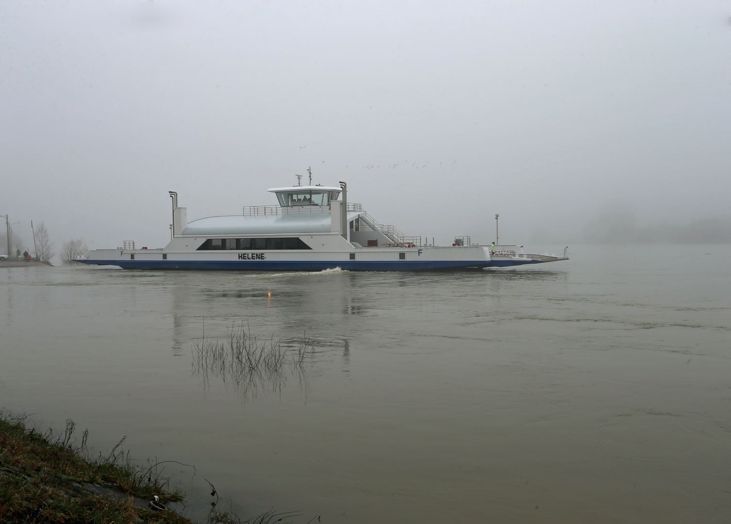 Hochwasser und Nebel -1-  Rheinfähre "Helene"