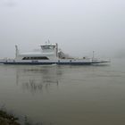 Hochwasser und Nebel -1-  Rheinfähre "Helene"