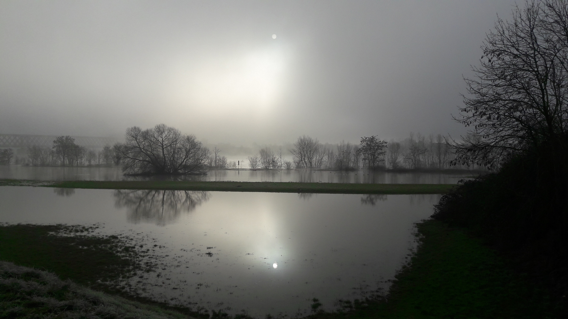 Hochwasser und Nebel