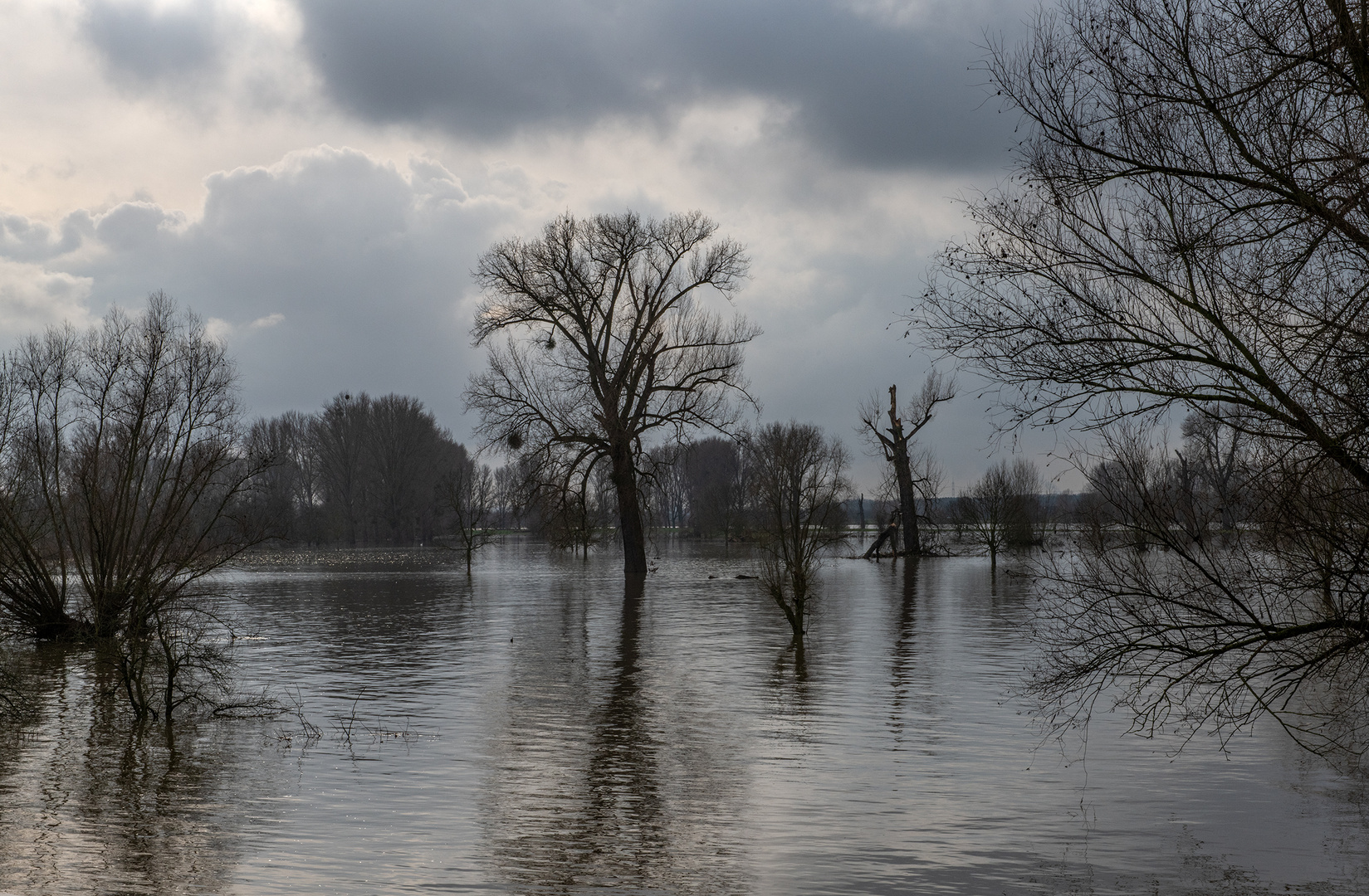 Hochwasser Urdenbacher Kämpe