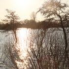 Hochwasser Weihnachten 2014, 300 ha Überflutungsgebiet