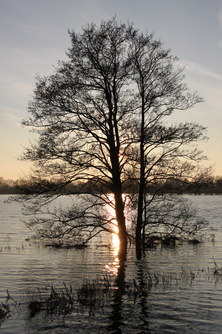 Hochwasser Weihnachten 2014