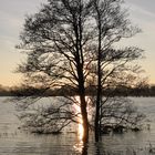 Hochwasser Weihnachten 2014