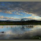 Hochwasser Weser