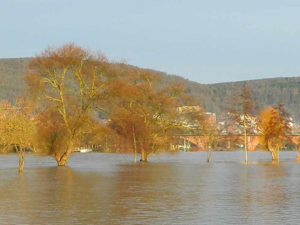 Hochwasser zu Weihnachten 2012 - Lohr am Main